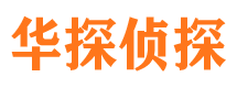 河口市私人侦探